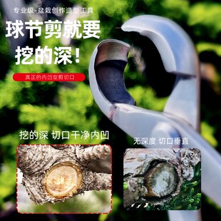 大号球节剪不锈钢盆景修剪造型专用工具球形剪刀挖型修枝钳套装