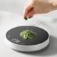 厨房电子秤高精准家用小型食物秤烘焙中药咖啡豆专用克称数度小秤