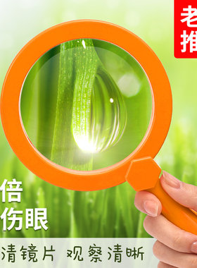 儿童放大镜益智玩具1000倍幼儿园观察手持可携式摺叠塑料柄套装