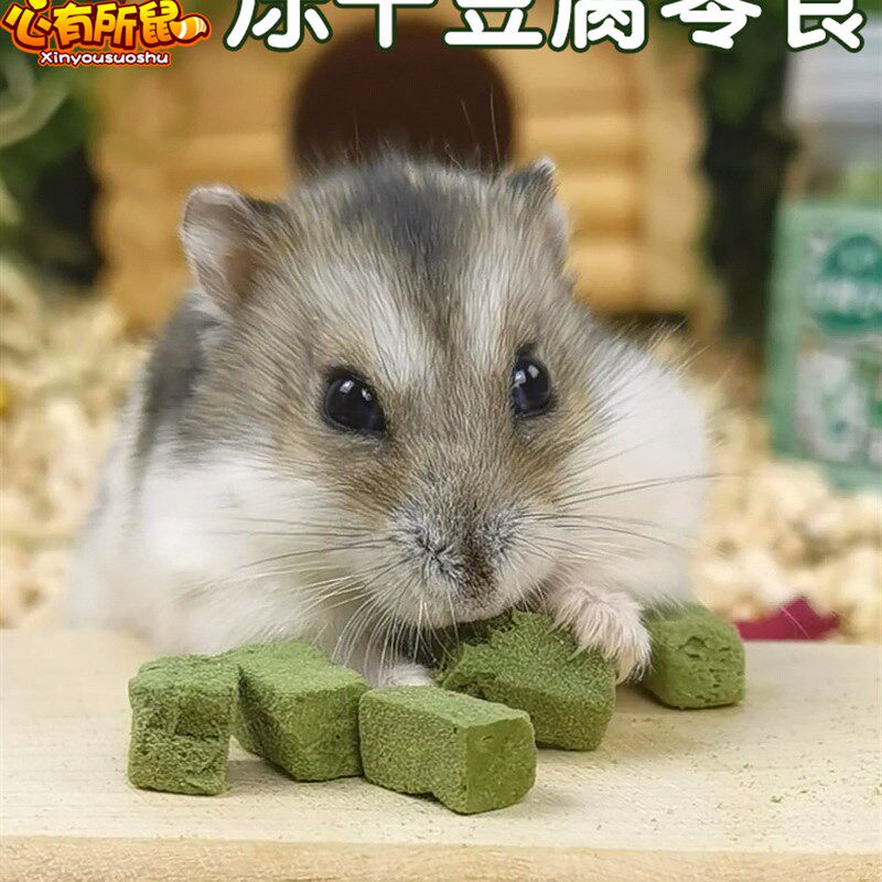 仓鼠小零食冻干豆腐金丝熊主粮食专用品夏季吃的侏儒饲料营养食物