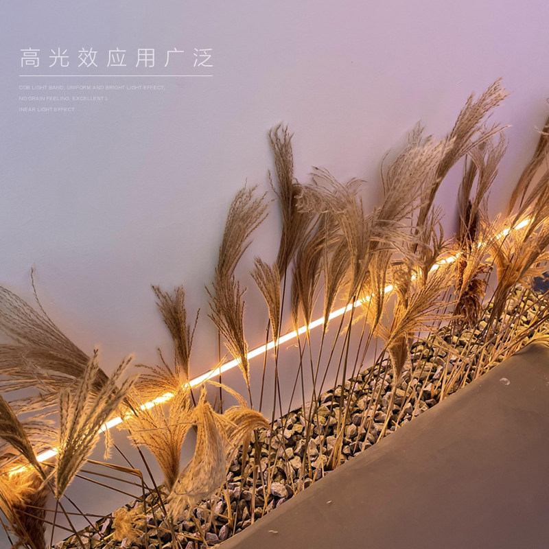 320珠无主灯cob灯带自粘超薄贴片低压LED柔软吊顶橱柜24V超亮线,家装灯饰光源,室内LED灯带,淘宝优惠券,粉丝福利购,淘宝优惠卷