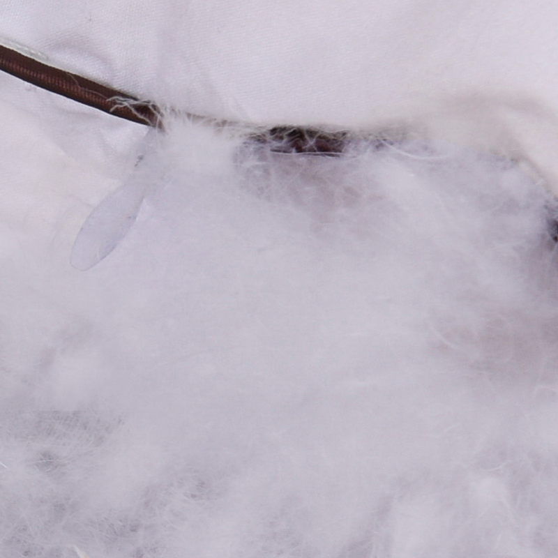 1-3-6岁 6-12岁儿童羽绒枕头95匈牙利白鹅吊吊绒幼儿园学生宝宝枕