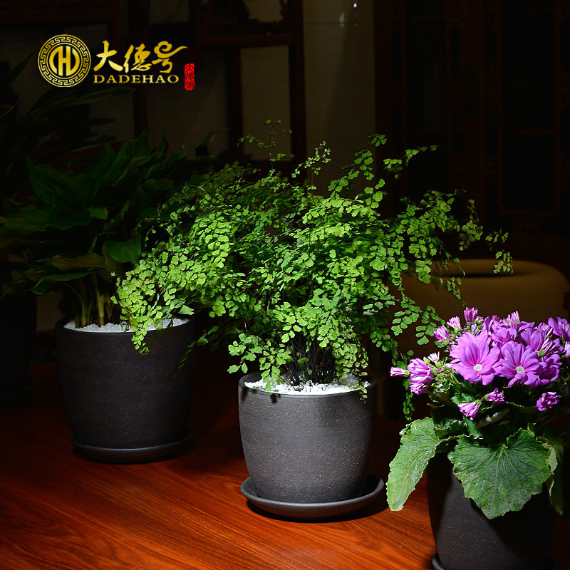 粗陶肉肉花盆宜兴紫砂君子兰花盆多肉植物创意简约陶瓷花盆带托盘