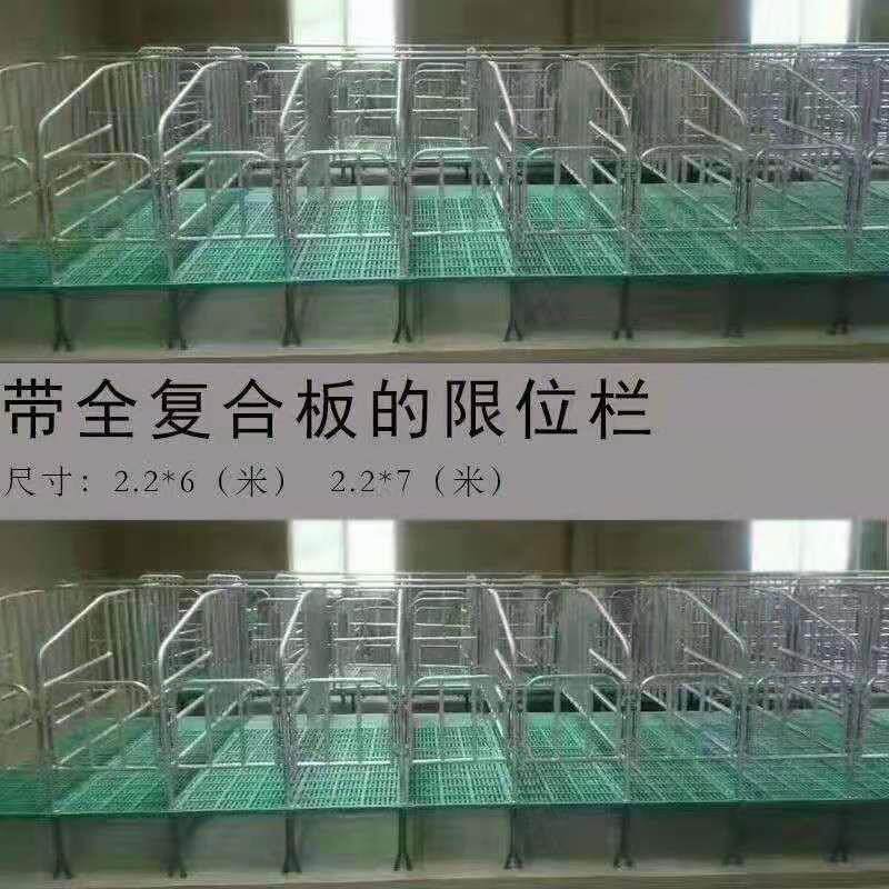 厂家母猪定位栏落地式限位栏带复合漏粪板母猪定位栏