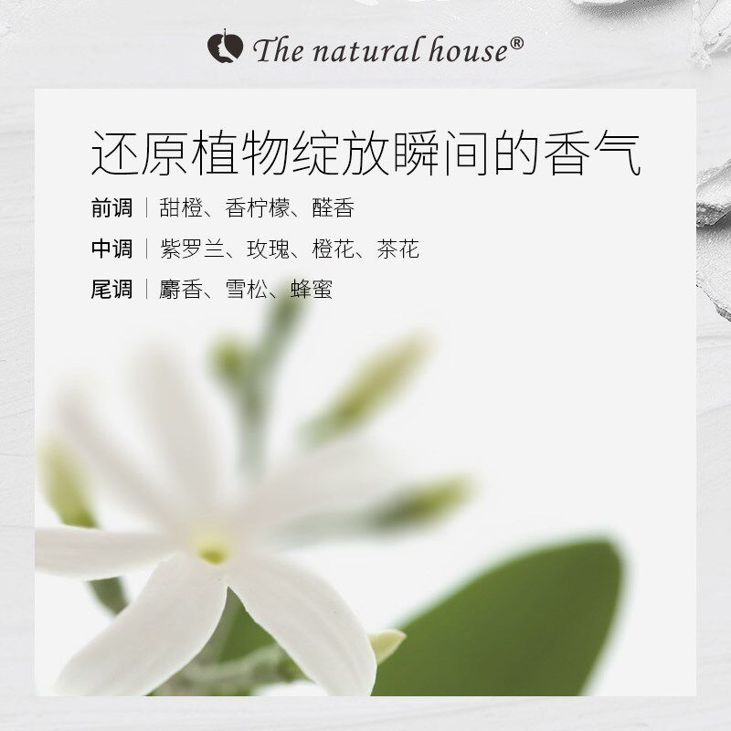 自然雅舍茶树籽洁面凝露爽肤水面霜菁华乳液不黏腻水乳套装