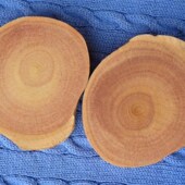 天然香樟木块木条 衣柜抽屉防虫蛀去异味 纯树根直接锯片