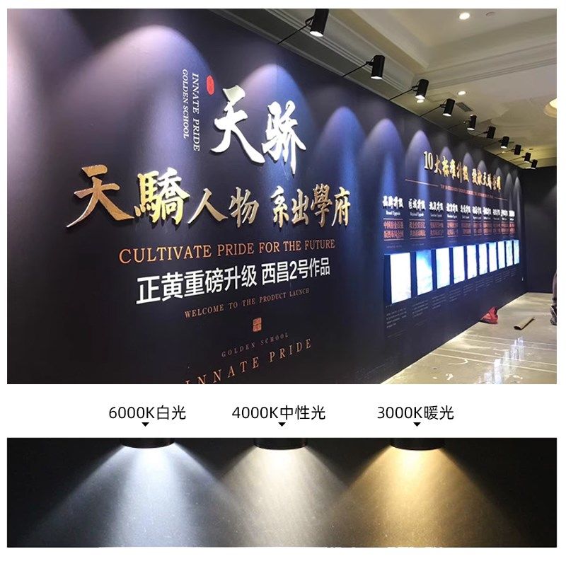 展会展览LED长杆射灯婚庆喷绘照画桁架标摊展位串联长臂夹子射灯,家装灯饰光源,明装射灯,淘宝优惠券,粉丝福利购,淘宝优惠卷