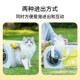 猫包便携外出猫咪背包狗包太空舱可斜跨单肩轻便款 大容量宠物用品