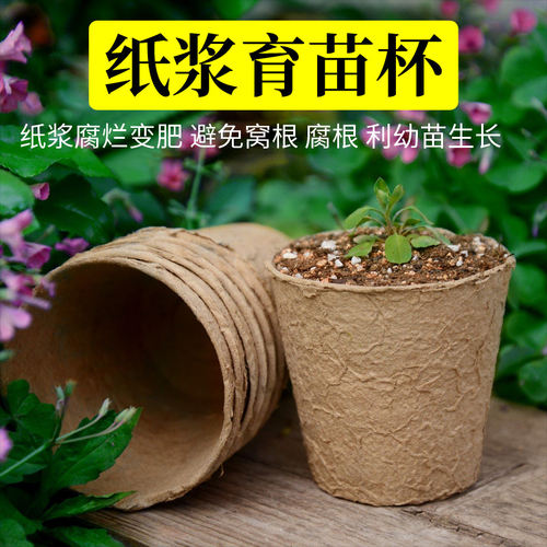 可降解育苗杯培育苗盆花苗培育盆多肉一次性叶插纸浆营养杯育苗杯