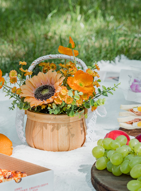 客厅摆件花家居饰品户外露营野餐花篮装饰电视柜酒柜书架开业礼物