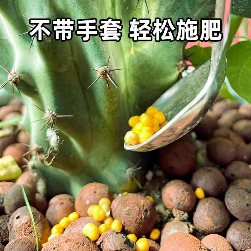 长柄园艺不锈钢施肥施药勺防脏防扎手月季植物多肉施肥勺,鲜花速递/花卉仿真/绿植园艺,其它园艺用品,淘宝优惠券,粉丝福利购,淘宝优惠卷