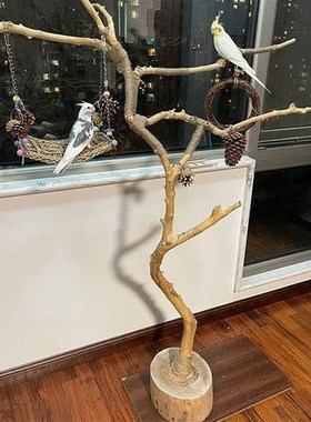 干树枝原木杈天然干枝枯枝枯木树干鸟架造型壁挂衣架吊顶树枝装饰