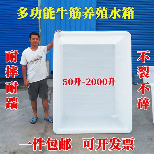 加厚食品级牛筋塑料水箱鱼箱超大长方形养龟养殖水产箱储水桶浅盆