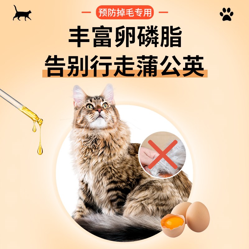 预防掉毛专用猫粮12斤装成猫幼猫营养冻干全价实惠1到3月4到12月