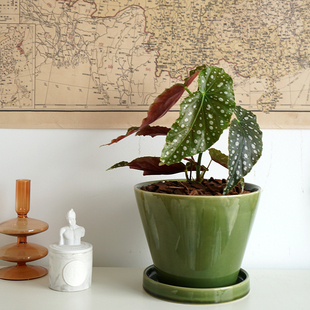 复古釉面绿色陶瓷花盆大口径兰花蝴蝶兰北欧简约盆栽大号盆器