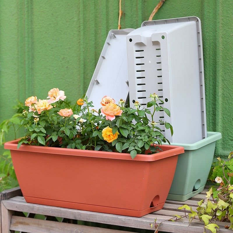 大号种菜盆长条大花盆阳台家庭种菜神器蔬菜草莓长方形种植花槽,鲜花速递/花卉仿真/绿植园艺,花盆,淘宝优惠券,粉丝福利购,淘宝优惠卷