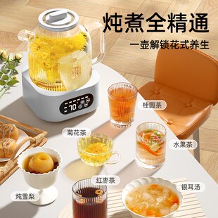 2024新款煮水壶炖煮养生壶多功能家用煮茶器小型办公室一人花茶壶