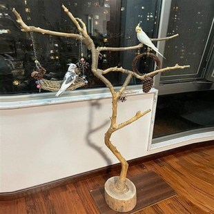 干树枝原木带杈去皮龙骨干枝树干鸟架造型壁挂衣架吊顶树枝装 饰