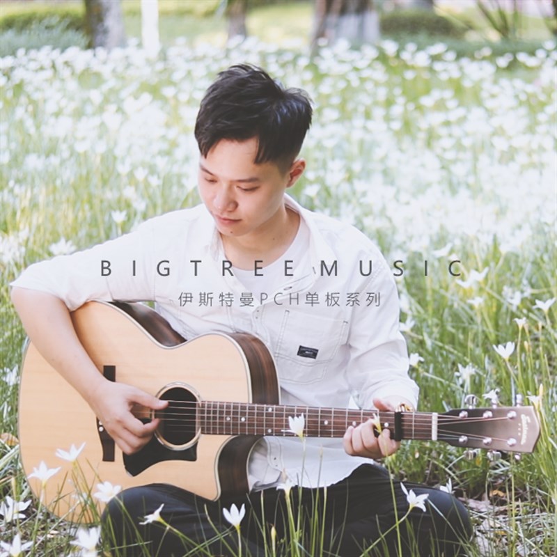 大树音乐屋 Eastman伊斯特曼PCH1 PCH2 面单板男女电箱民谣木吉他