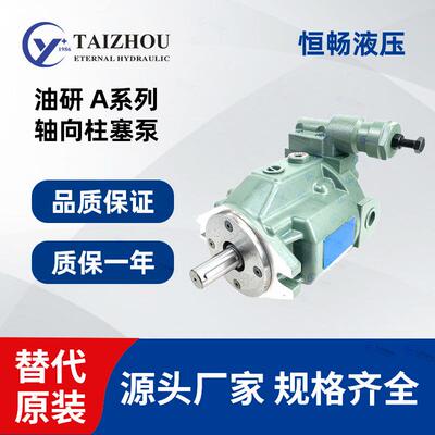 高可靠性油研用于起重机活塞泵AR22