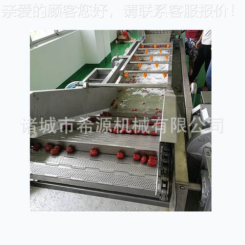 水连续x-20000葡萄机干清洗 气泡清大枣清洗机 鼓泡式牛油果火龙
