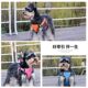 宠物胸背带泰迪雪纳瑞狗狗牵引绳中小型犬遛狗绳背心式 狗链子用品