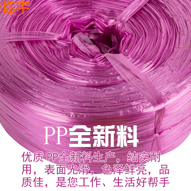 彩色塑料绳 打包绳 大盘绳 撕裂绳 捆扎绳 绳子包装绳塑料绳,鲜花速递/花卉仿真/绿植园艺,打草绳等其他绳子,淘宝优惠券,粉丝福利购,淘宝优惠卷