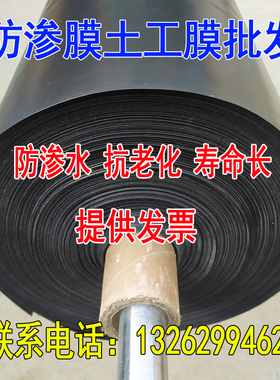 黑色防渗塑料薄膜养殖膜鱼塘专用地膜鱼池防水布藕池膜防护土工膜