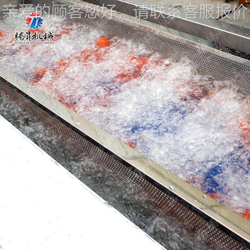 泡果蔬气PLC清洗机净菜加工生产线 加工设备 蔬平行毛辊清洗生产,机械设备,消毒灭菌设备,淘宝优惠券,粉丝福利购,淘宝优惠卷