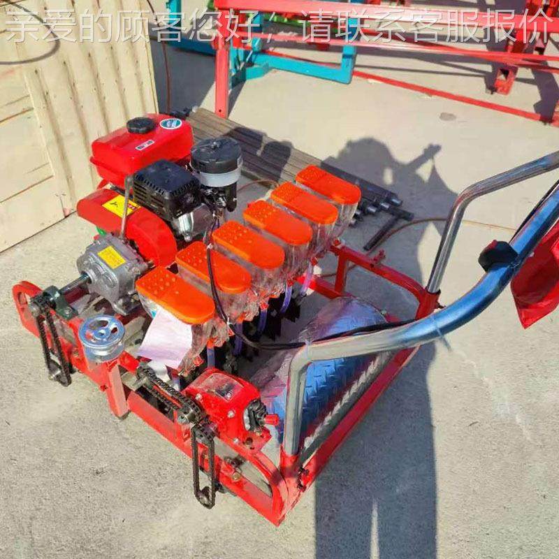 柴桔点梗远志播种胡机  香菜菠菜白菜精播机韭菜甘蓝油菜HPP播机