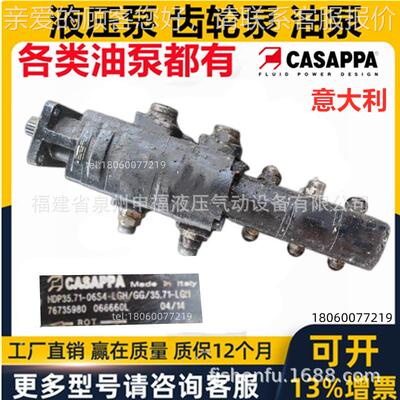 CASPAPA帕意大利凯斯液压齿轮泵SFP HDP  10 20 35 40 30FP30.34D