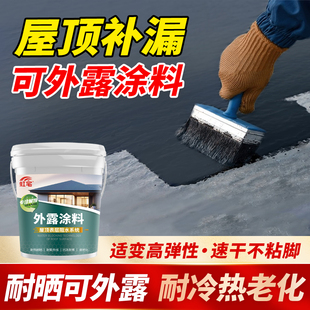 外漏涂料屋顶平房楼顶漏水裂缝防水材料屋面地面补漏防漏堵漏王