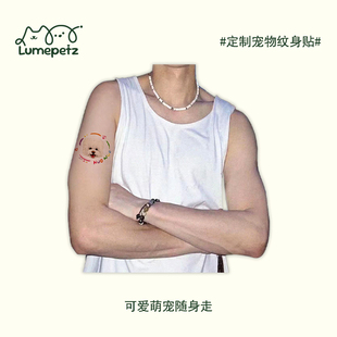 定制纹身贴宠物狗狗猫设计diy文字图案名字彩色高端手绘画电子版