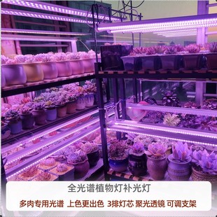 weg贵翔 水草补光灯 仿太阳LED生长灯全光谱多肉灯育苗灯月季