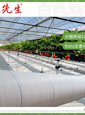 王先生架草莓棚反光地布大棚农用新型寿命园艺白色防草布温室