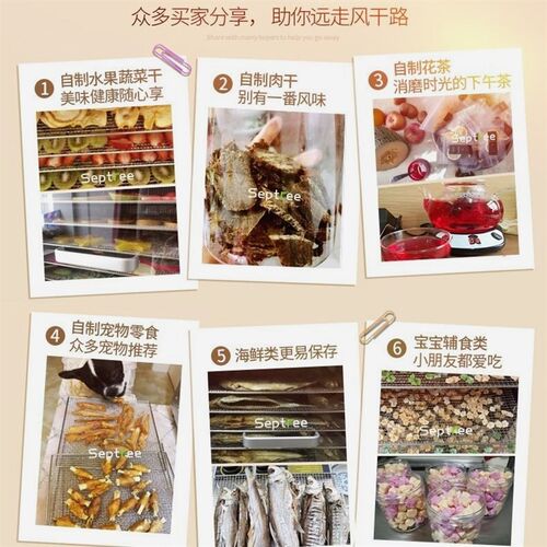 烘干食品干果宠物零食鱼肉干竹笋果蔬风干食物