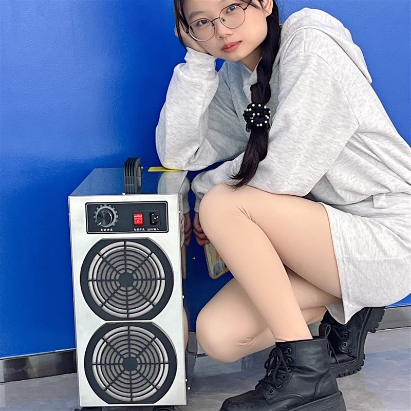 移动式食品厂臭氧消毒机养殖场猪场除异味除氨气工业臭氧发生器