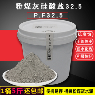 粉煤灰水泥PF32.5普通硅酸盐高标号快速干实验高强度修补抹面砌砖