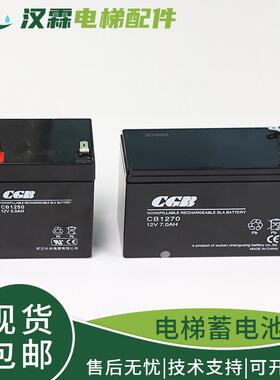 杭西奥电梯救援装置蓄电池松闸电源CGB武汉长光CB1250/1270/1240