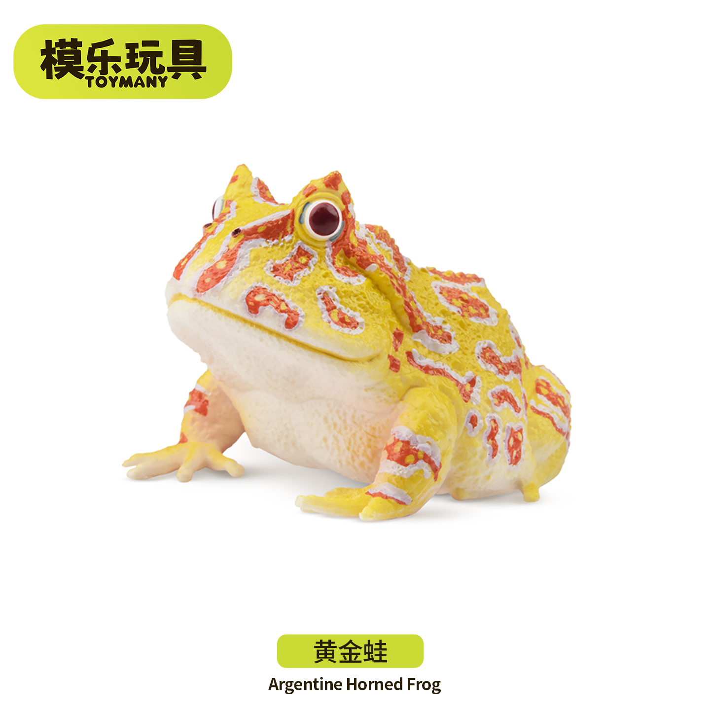 模乐玩具TOYMANY黄金蛙仿真动物模型树蛙青蛙玩具儿童认知启蒙