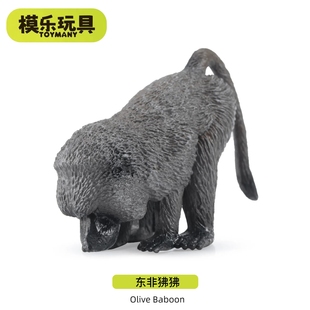 模乐玩具TOYMANY东非狒狒灵长类系列野生仿真动物模型儿童玩具