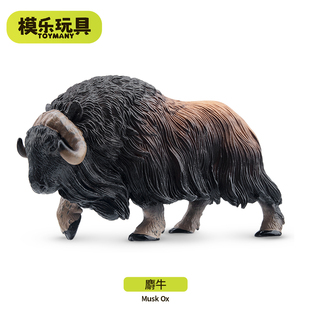 模乐玩具TOYMANY极地北极野生仿真动物模型野牛麝牛手办儿童玩具