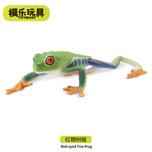 模乐玩具TOYMANY仿真动物模型青蛙玩具红眼树蛙儿童认知启蒙