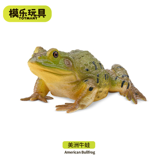 模乐玩具TOYMANY仿真动物模型树蛙青蛙玩具美洲牛蛙儿童认知启蒙