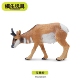 模乐玩具TOYMANY叉角羚美国羚羊迷你北美野生仿真动物模型玩具