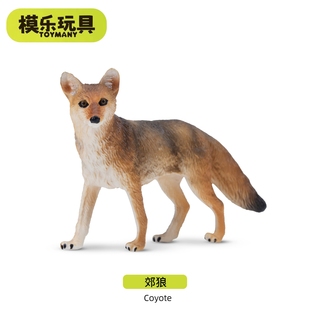 模乐玩具TOYMANY郊狼迷你北美森林野生仿真动物模型儿童玩具