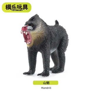 模乐玩具TOYMANY山魈灵长类系列野生仿真动物模型猴子儿童玩具