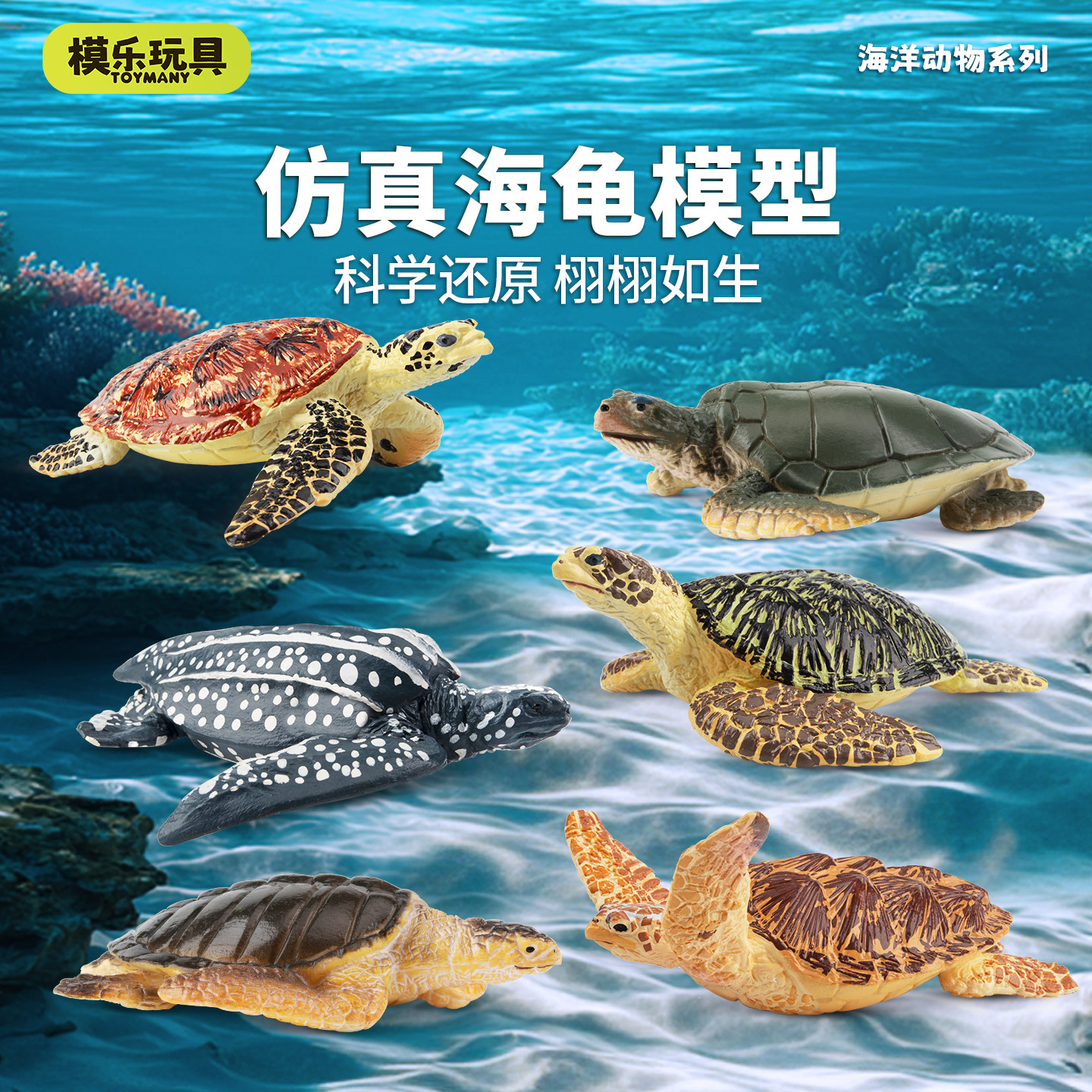 模乐玩具TOYMANY海洋生物系列仿真动物模型海龟玳瑁公仔儿童玩具