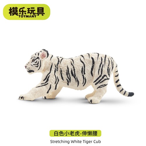TOYMANY正品小白虎幼崽模型