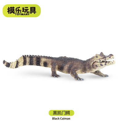 模乐玩具TOYMANY黑凯门鳄野生爬行仿真动物模型鳄鱼玩具儿童认知